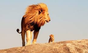 Rappresentazione visiva dell'articolo: Il Passaggio generazionale: L'eredità